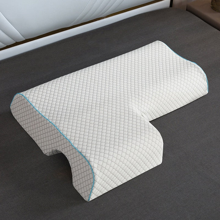Lisslune | Pair of pillows