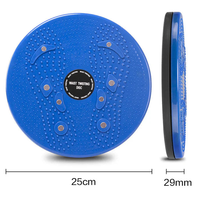Lisslune | Dynamic Balance Board for Strength and Stability