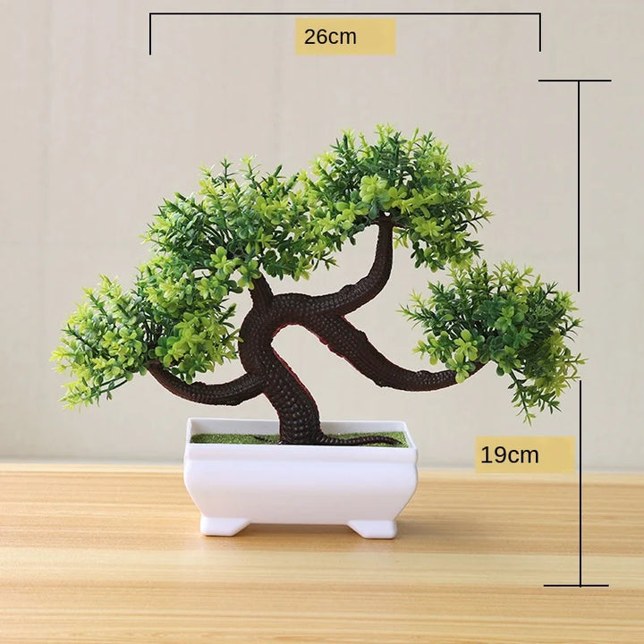Lisslune | Small Tree Pot Bonsai Plants