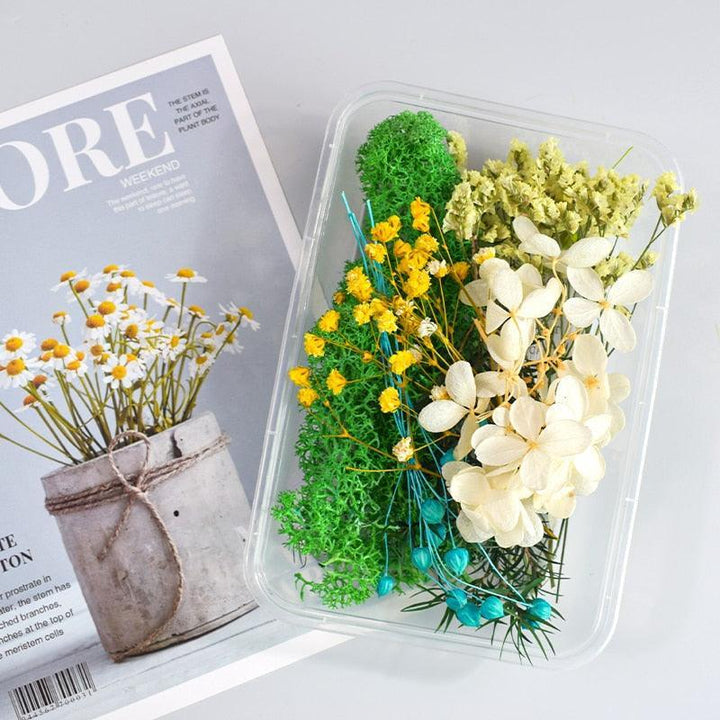 Lisslune | Eternal Floral Inspirations: Preserved Petals for Creative Expressions