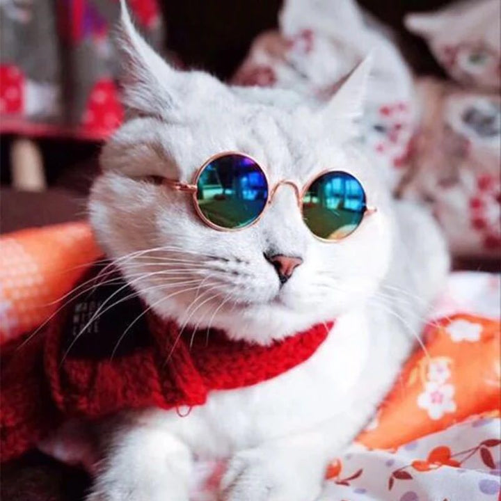 Lisslune | Retro sunglasses for cats