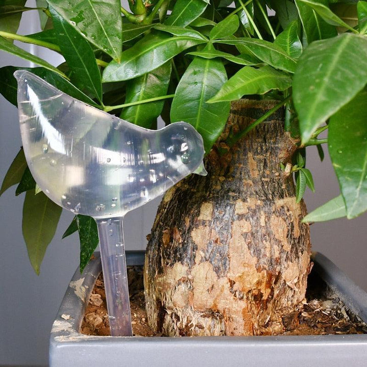 Lisslune | Transparent automatic drip irrigation system for the care of houseplants with water level indicator