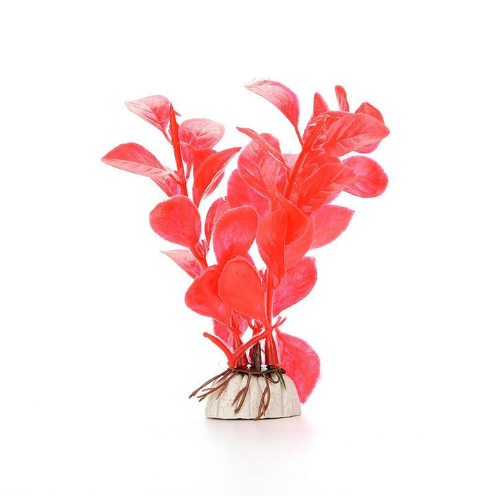 Lisslune | Vibrant Aquatic Plant Decoration Set with stable weighted base for thriving aquariums