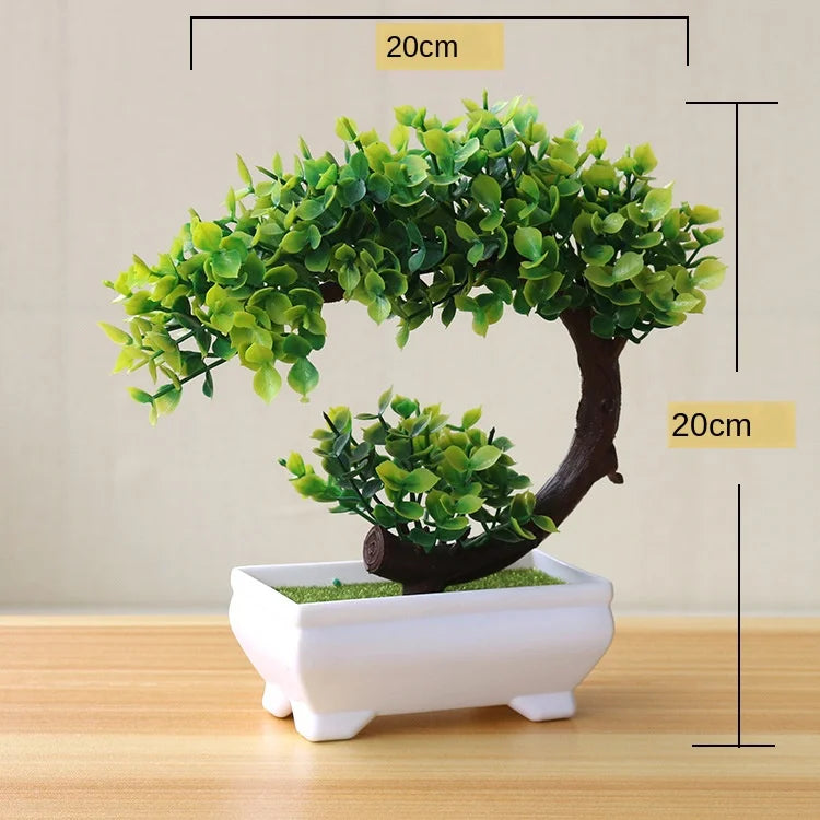 Lisslune | Small Tree Pot Bonsai Plants