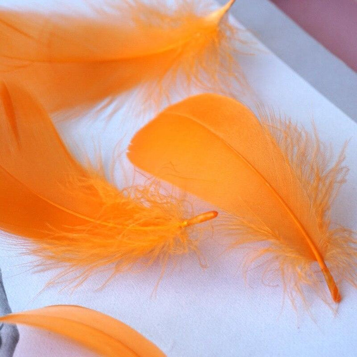 Lisslune | Feather Elegance Craft Kit: Enhance weddings, fashion, and creative projects