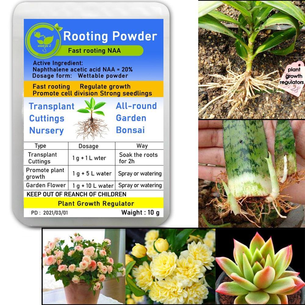 Lisslune | Bonsai Growth Catalyst: Root Enhancer & Flower Booster