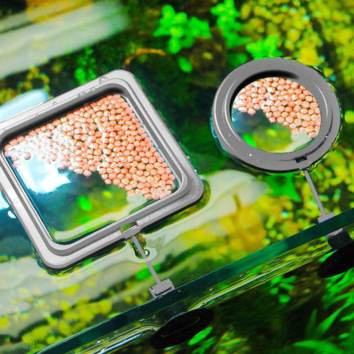 Lisslune | Aquarium feeding ring