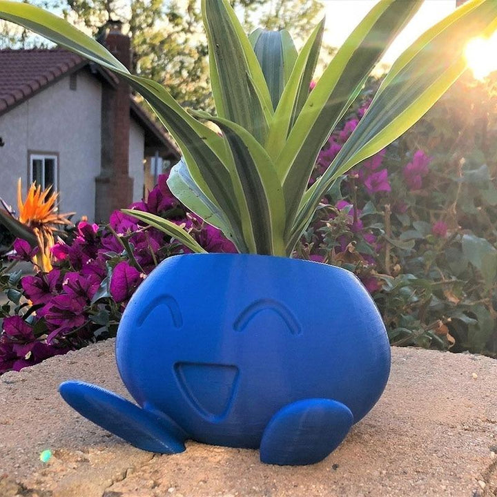 Lisslune | Myrapla Flower Pot