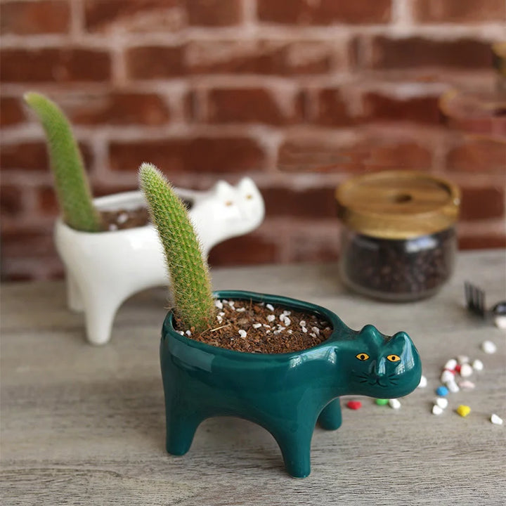 Rynx | Cute Cat Ceramic Pot Garden Flower Plant Animal Picture Cactus Plant Pot Succulent Plant Container Table Decoration