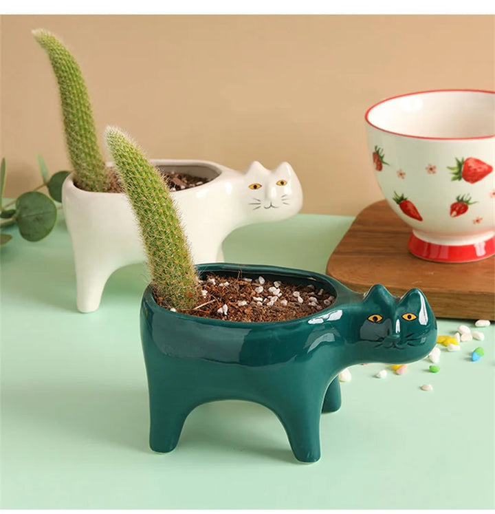 Rynx | Cute Cat Ceramic Pot Garden Flower Plant Animal Picture Cactus Plant Pot Succulent Plant Container Table Decoration