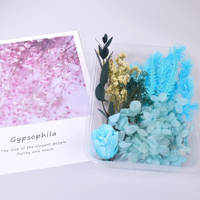 Lisslune | Eternal Floral Inspirations: Preserved Petals for Creative Expressions