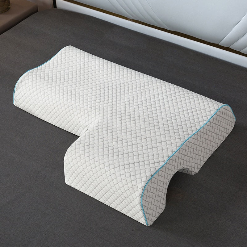 Lisslune | Pair of pillows