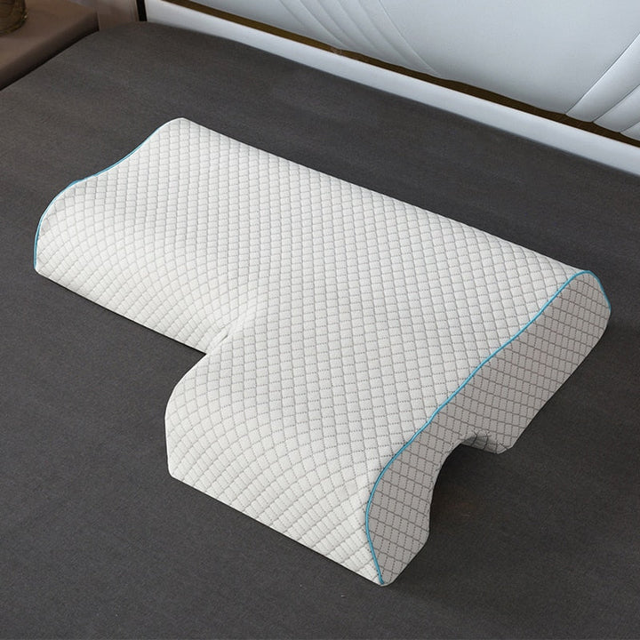 Lisslune | Pair of pillows