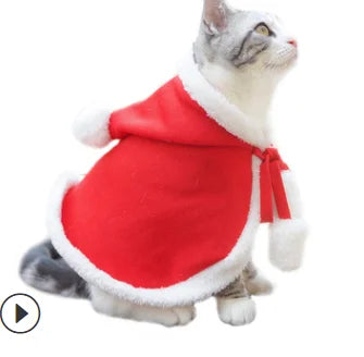 Lisslune | Cat Christmas costume