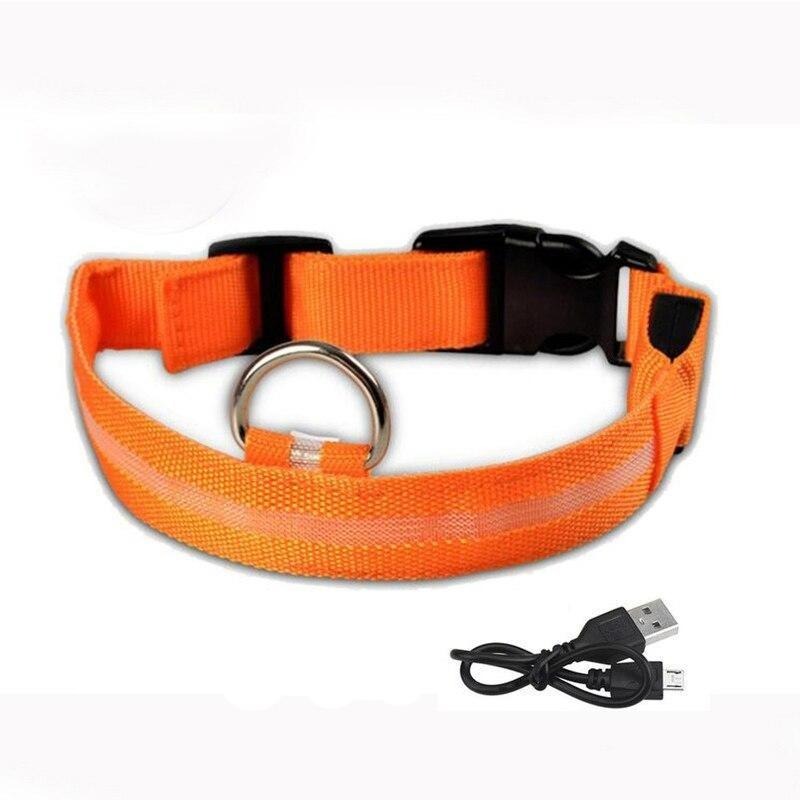 Lisslune | LED USB glowing dog collar