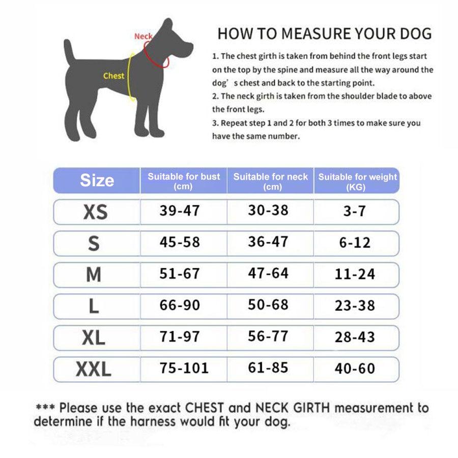Lisslune | Personalized Anti-Pull Dog Harness