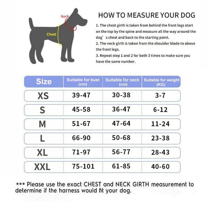 Lisslune | Personalized Anti-Pull Dog Harness