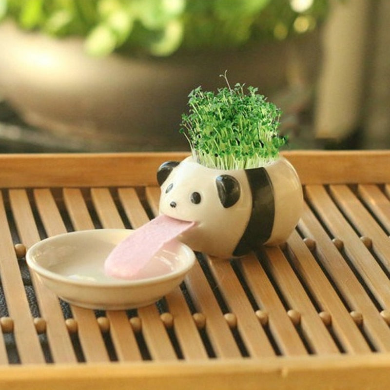 Lisslune | Self-watering flower pot animal motif