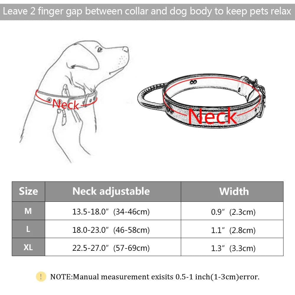Lisslune | Custom Engraved Premium Leather Dog Collar with Control Handle for Medium to Large Breeds