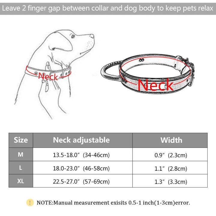 Lisslune | Custom Engraved Premium Leather Dog Collar with Control Handle for Medium to Large Breeds