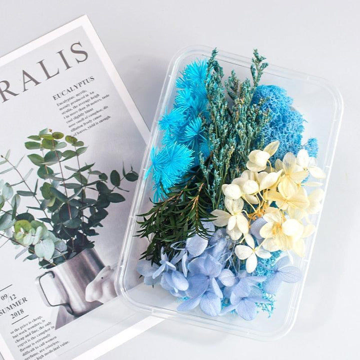 Lisslune | Eternal Floral Inspirations: Preserved Petals for Creative Expressions