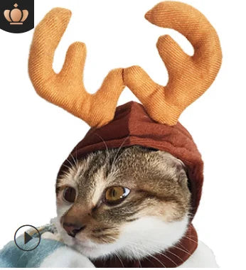 Lisslune | Cat Christmas costume
