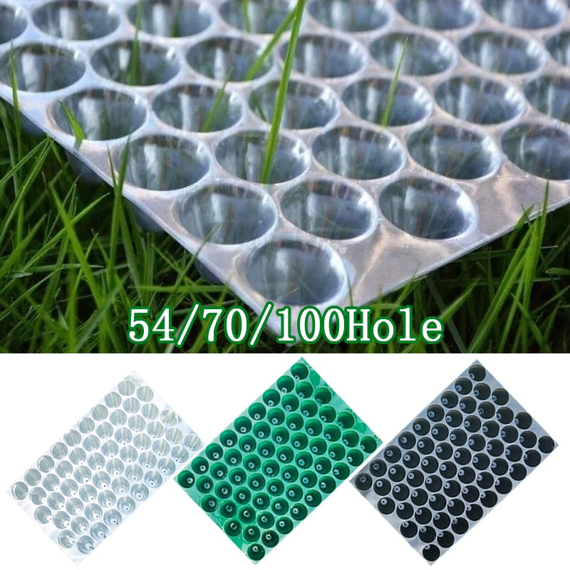 Lisslune | Sustainable Gardening Plant Growth Tray Kit for Eco-Conscious Gardeners