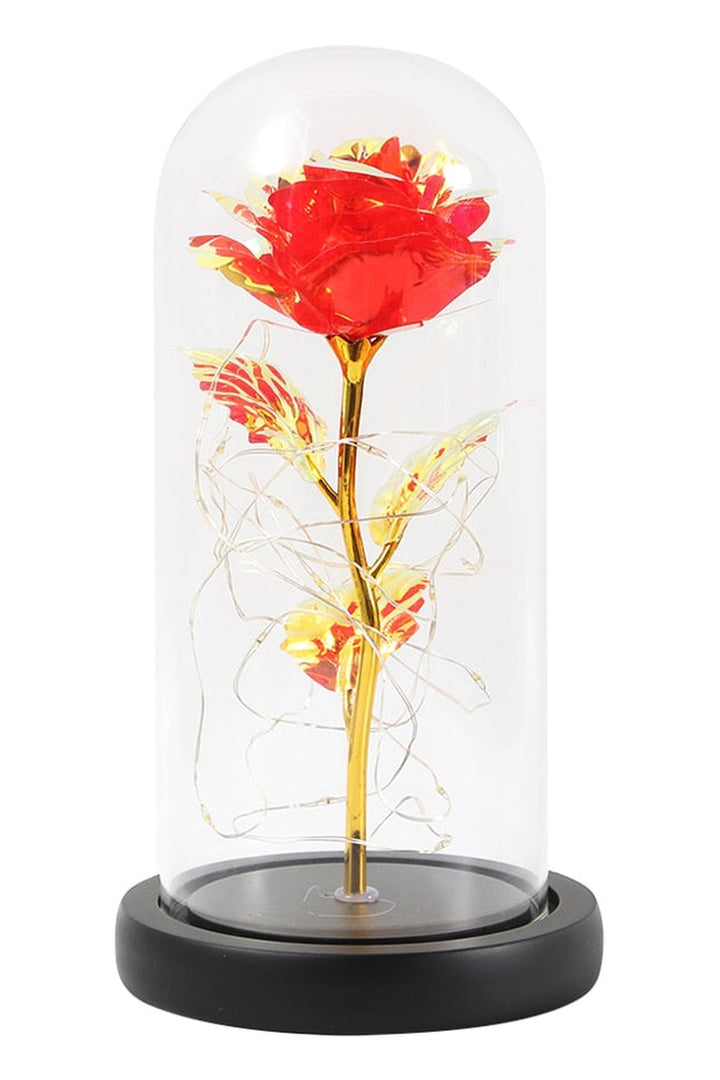 Lisslune | illuminated enchanted rose lamp