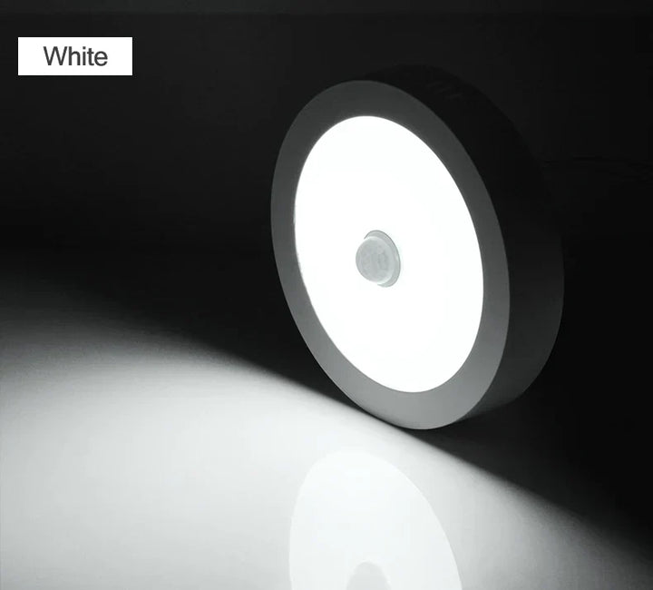 Lisslune | Motion Sensor LED Ceiling Lights – Smart Lighting for Your Home
