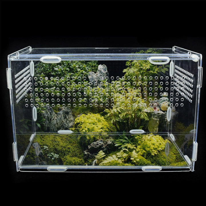 Lisslune | Transparent Acrylic Case for Reptile Habitat and Insect Observation