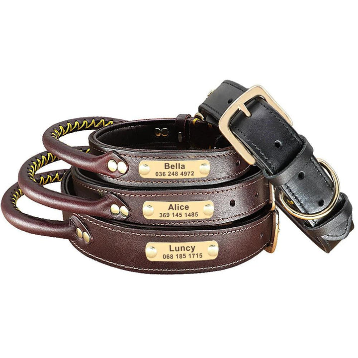 Lisslune | Custom Engraved Premium Leather Dog Collar with Control Handle for Medium to Large Breeds