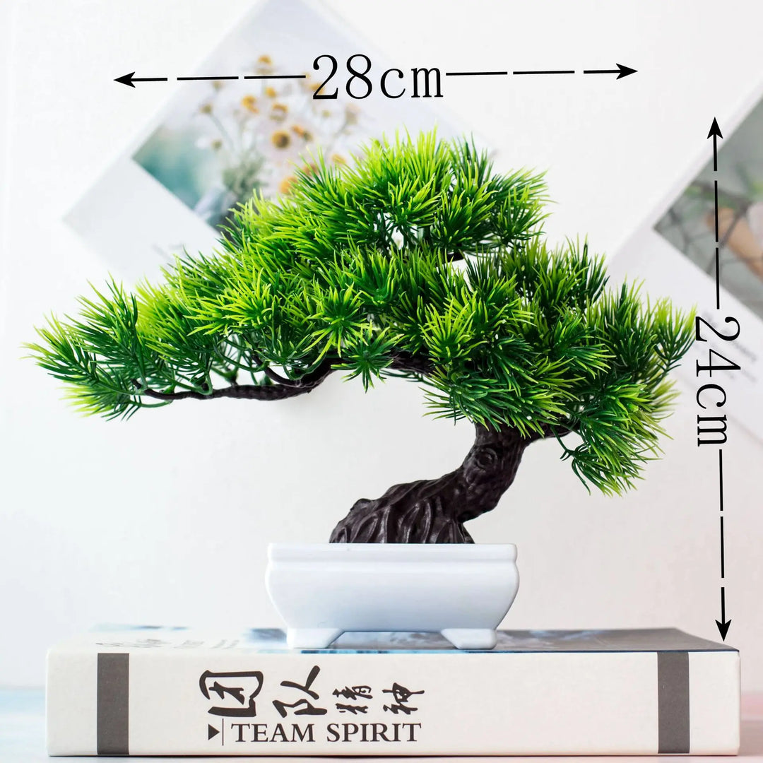 Lisslune | Small Tree Pot Bonsai Plants