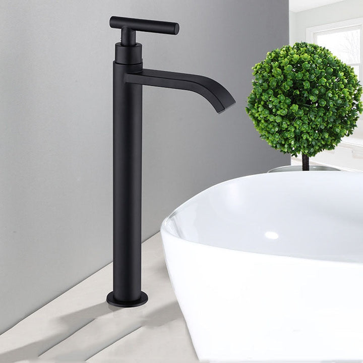Lisslune | Matte black cold water single faucets for sink installation