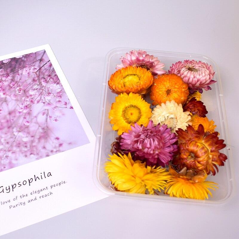 Lisslune | Eternal Floral Inspirations: Preserved Petals for Creative Expressions