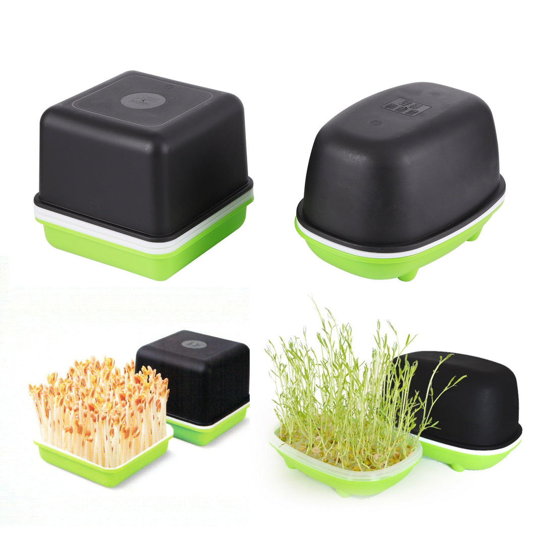 Lisslune | Hydroponic Peanut Sprout Growth Kit with Complete Basin System for Home Gardening