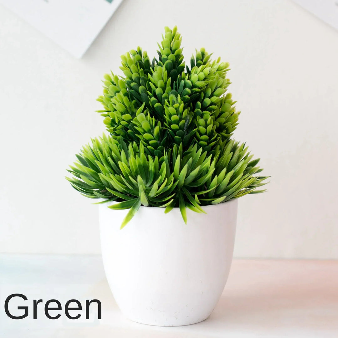 Lisslune | Small Tree Pot Bonsai Plants