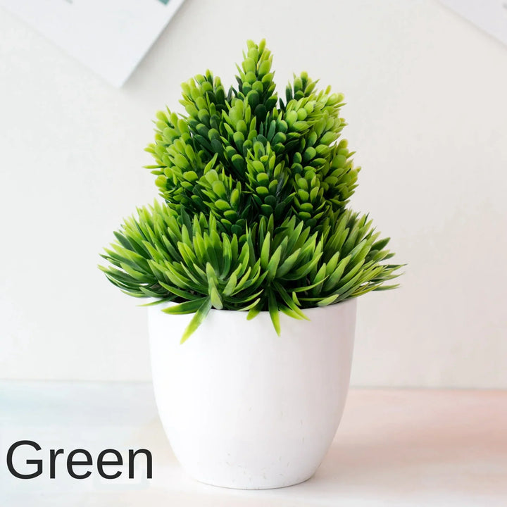 Lisslune | Small Tree Pot Bonsai Plants