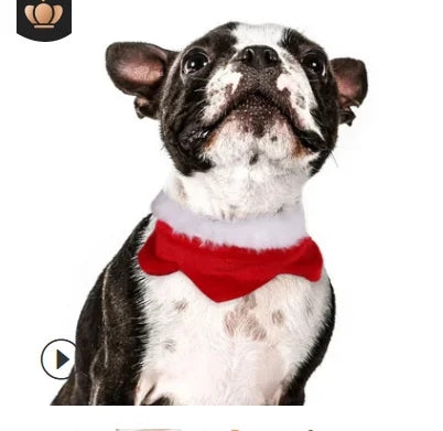 Lisslune | Cat Christmas costume