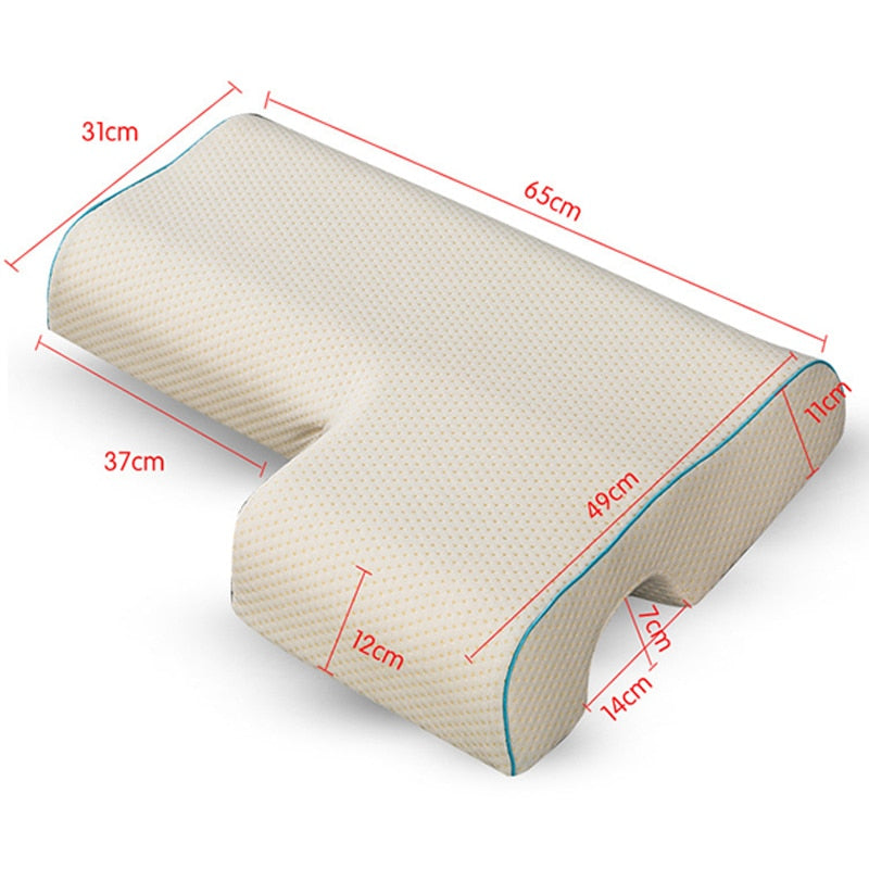 Lisslune | Pair of pillows