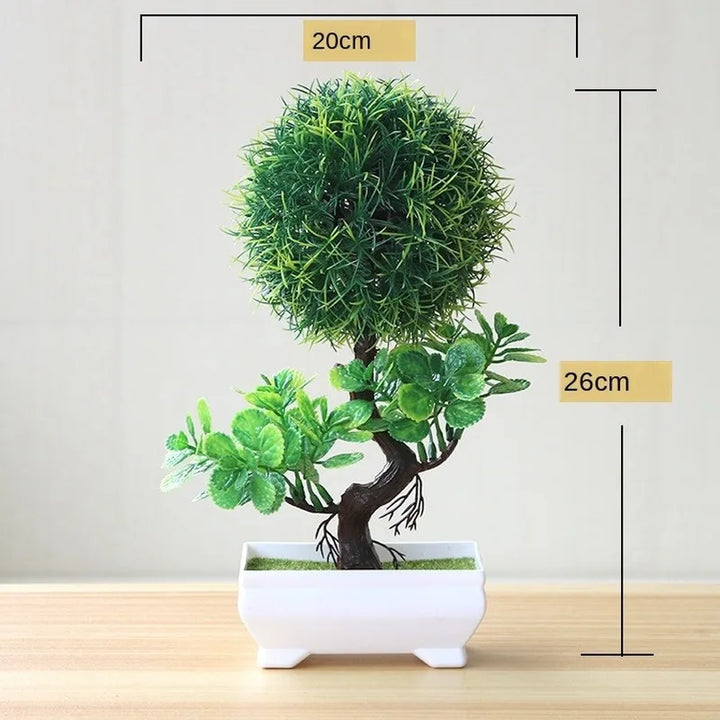 Lisslune | Small Tree Pot Bonsai Plants