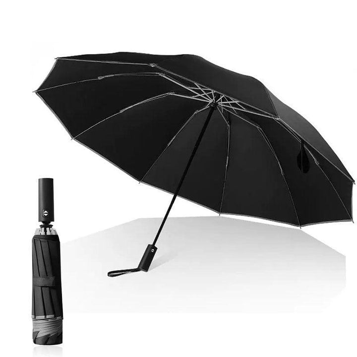 Lisslune | Stylish 10-rib Compact Automatic Umbrella - Resilient and Trendy