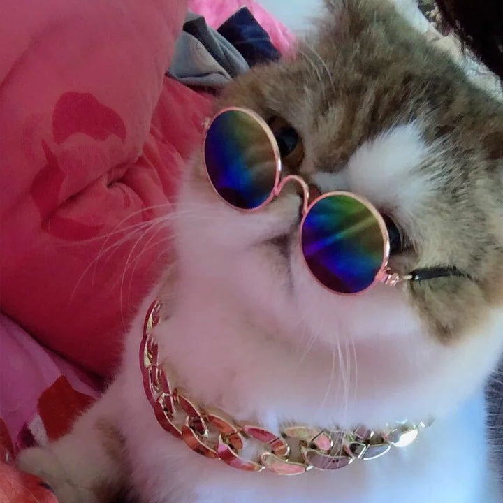 Lisslune | Retro sunglasses for cats