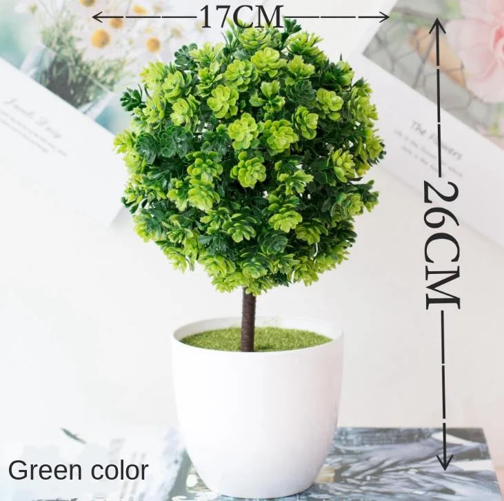 Lisslune | Small Tree Pot Bonsai Plants