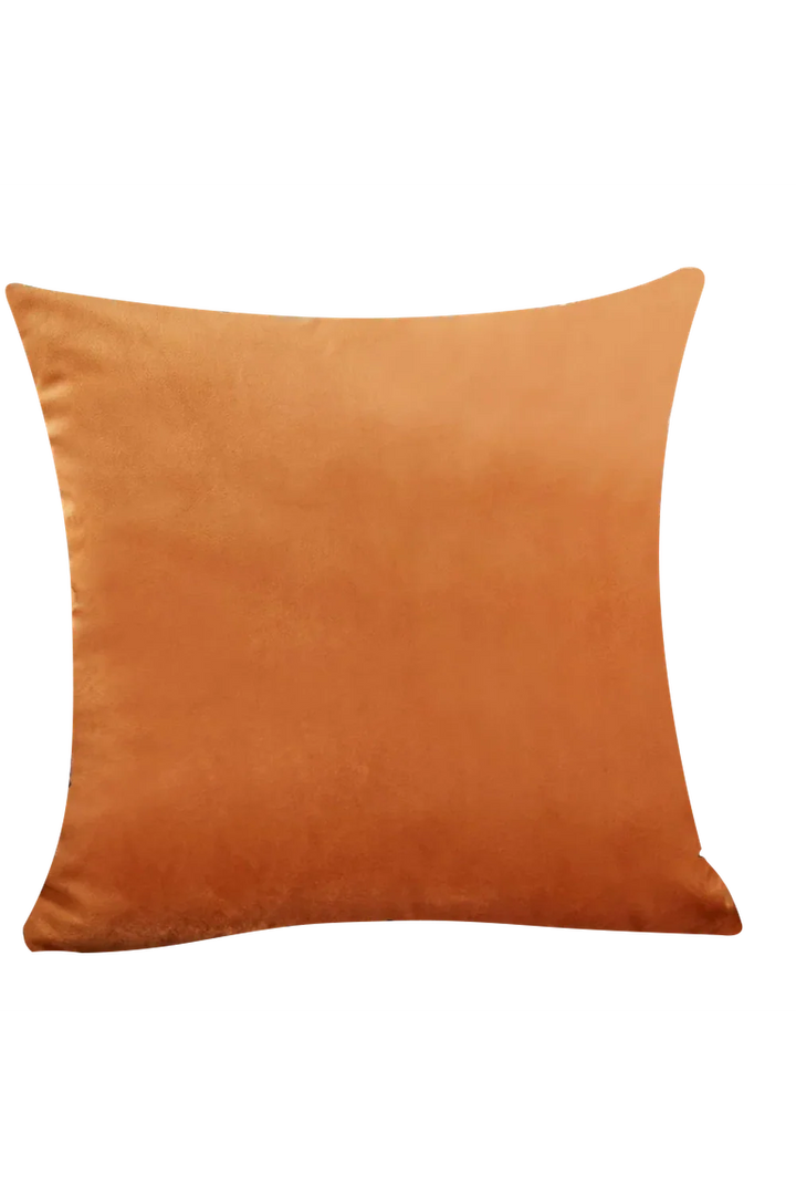 Lisslune | Beige velvet cushion cover