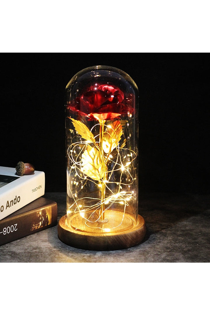 Lisslune | illuminated enchanted rose lamp