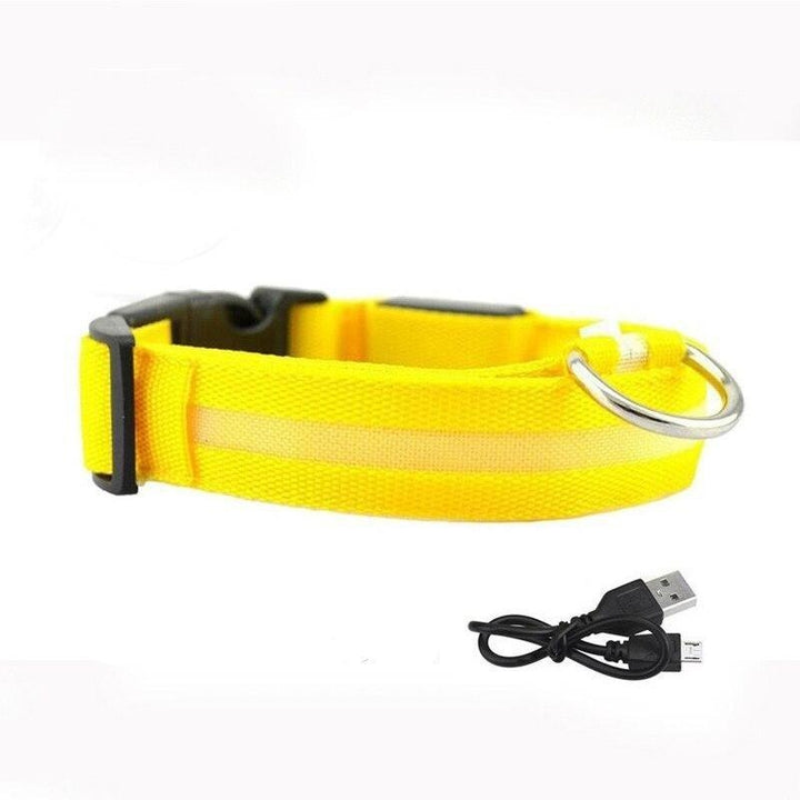 Lisslune | LED USB glowing dog collar