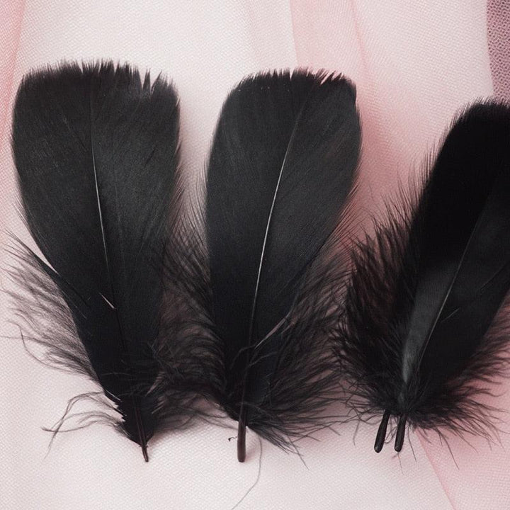 Lisslune | Feather Elegance Craft Kit: Enhance weddings, fashion, and creative projects