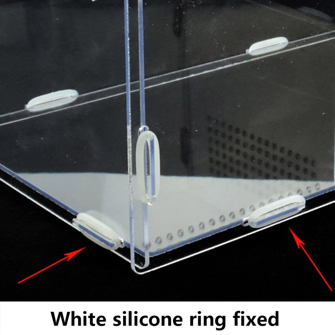 Lisslune | Transparent Acrylic Case for Reptile Habitat and Insect Observation