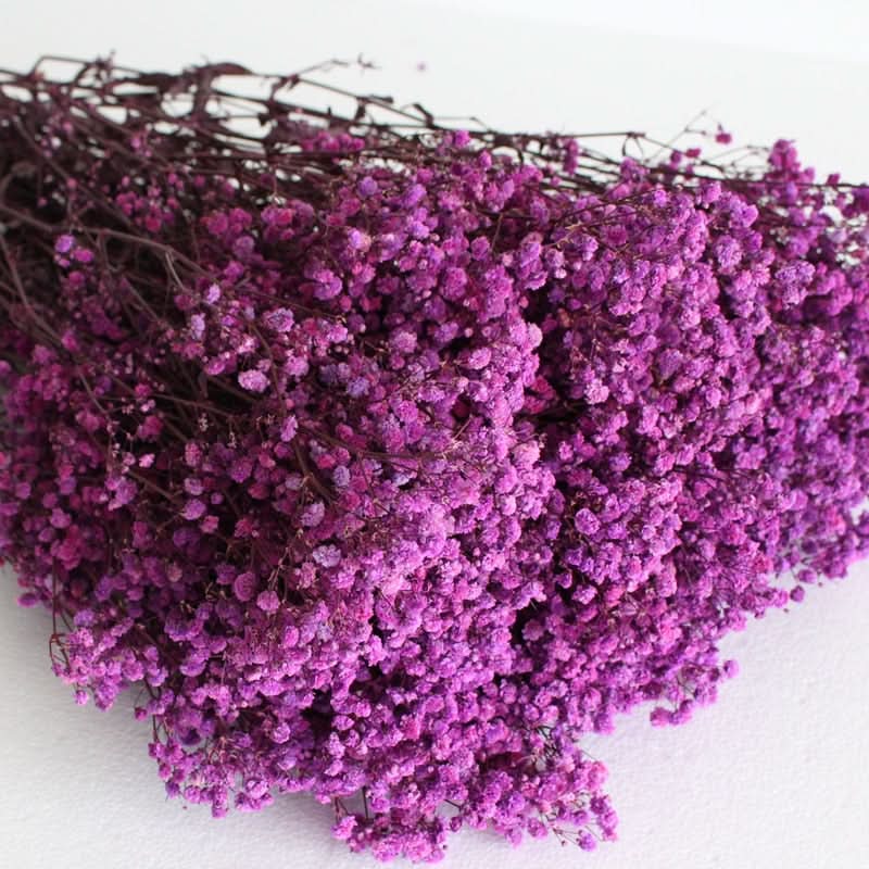 Lisslune | Dried Preserved Gypsophila Flower Bouquet – Natural Decor