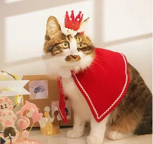 Lisslune | Cat Christmas costume